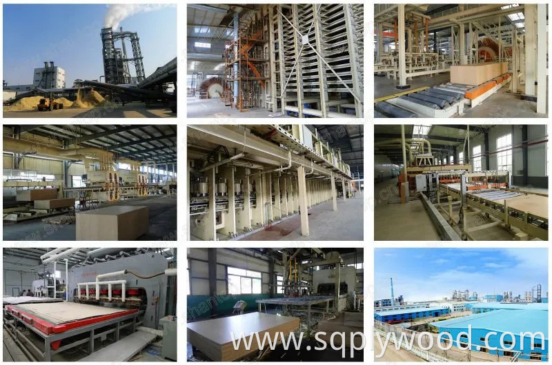 High Glossy PVC / HPL / UV/Melamine Paper Coated MDF